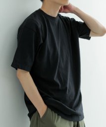 ITEMS URBANRESEARCH/Healthknit　Made In Japan 1－Pack T－Shirts/506315906
