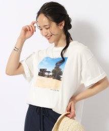 SHOO・LA・RUE/【洗える／プチプラ／綿100％】グラフィック半袖ゆるTシャツ/506320739