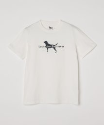 SHIPS Colors  MEN/SHIPS Colors: Labrador Retriever コラボ プリント Tシャツ/506344999
