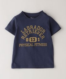 SHIPS Colors  KIDS/SHIPS Colors: Labrador Retriever コラボTシャツ(80~130cm)/506345000