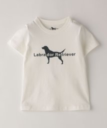 SHIPS Colors  KIDS/SHIPS Colors: Labrador Retriever コラボTシャツ(80~130cm)/506345000
