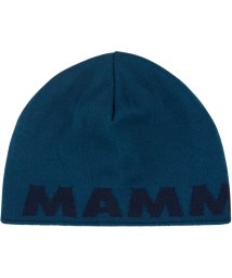 MAMMUT/MAMMUT マムート アウトドア Mammut Logo Beanie 1191－04891 ニット帽 ビーニー 帽子/506356553