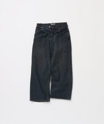 JOURNAL STANDARD/《予約》【FOLL / フォル】natural dye wardrobe jeans/506375499
