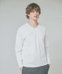 ABAHOUSE/【Vネック】ECO VERO レーヨンポンチTシャツ / ロンT/506503823