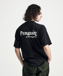 Penguin by Munsingwear/ハーフスリーブモックネックプルオーバー/506413417