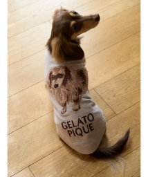 GELATO PIQUE CAT＆DOG/【CAT&DOG】ダックスフンドジャガードノースリーブプルオーバー/506571706