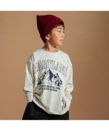 BRANSHES/【WEB限定/DRC/お肌に嬉しい綿100％】BIGシルエットアソートグラフィック長袖Tシャツ/506593974