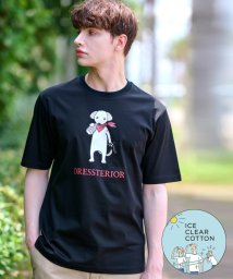 DRESSTERIOR/【接触冷感／抗菌防臭／消臭】ICE CLEAR COTTON DRINKER DOG Tシャツ/506717107