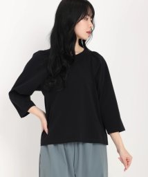 ICHIE/Ｔシャツ／カットソー/506802526