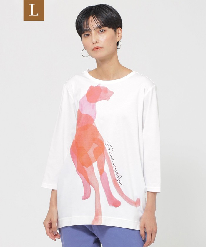 EVEX Tシャツ カットソー・Tシャツ｜EVEX by KRIZIA(エヴェックス バイ