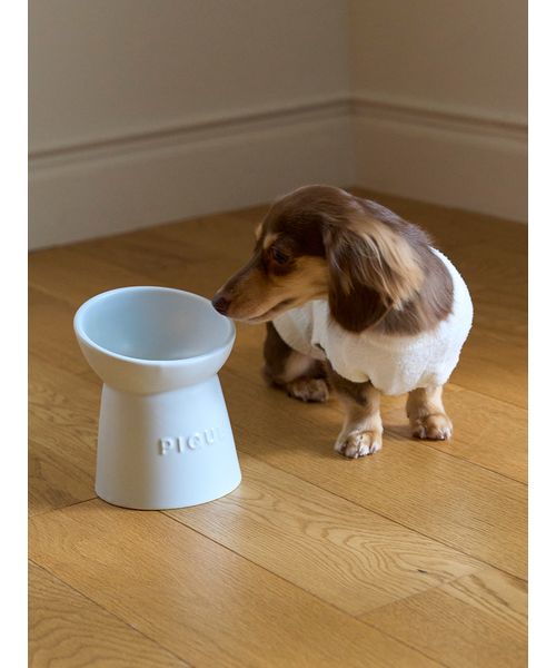 GELATOPIQUECAT & DOG 【CAT&DOG】ハイスタンドフードボウル BLU F GELATOPIQUECAT & DOG 【CAT&DOG】ハイスタンドフードボウル BLU F