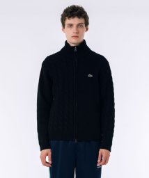 LACOSTE Mens/ラコステ LACOSTE KNIT WEARS/506849357