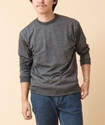 NOLLEY’S goodman/AXIO吸水速乾 ウォッシャブル ウール長袖Tシャツ/506839741