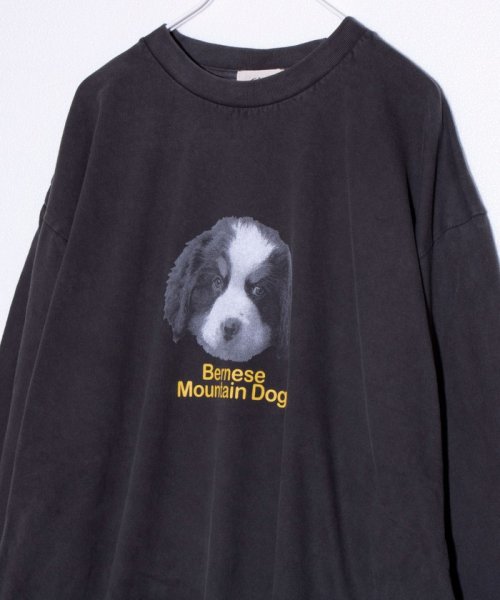 GLOSTER(GLOSTER)/【GLOSTER/グロスター】DOG&CAT 犬猫プリント ピグメント プリントロンT 長袖Tシャツ/ブラック系その他7