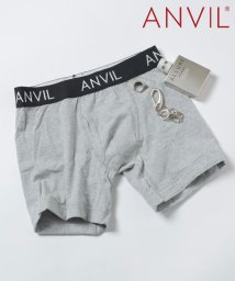 ANVIL/アンヴィル ANVIL 【ANVIL】 USAコットンボクサーパンツ ANV0540/506862029