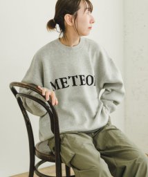 ITEMS URBAN RESEARCH/スウェットライクロゴニット/506873042