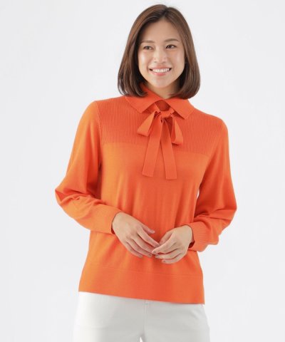 【WEB・一部店舗限定】【ウォッシャブル】スーパーファインウールプルオーバーニッ