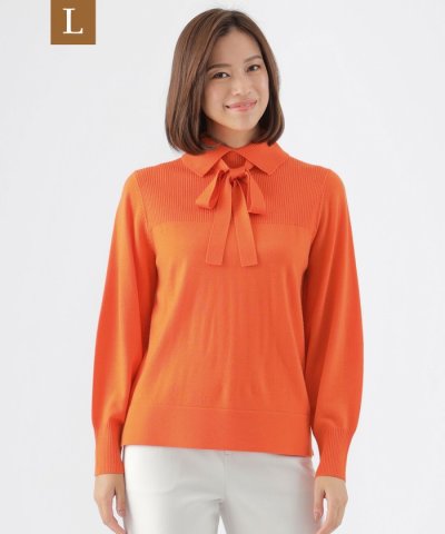 【L】【WEB・一部店舗限定】【ウォッシャブル】スーパーファインウールプルオーバ