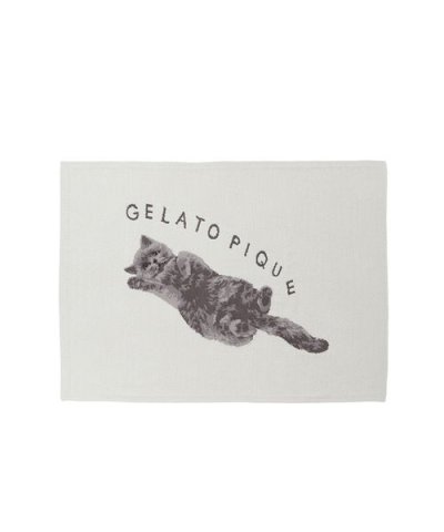 CATジャガードブランケット