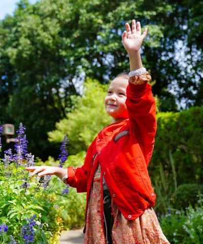 ゴートゥーハリウッド GO TO HOLLYWOOD Light Taffeta