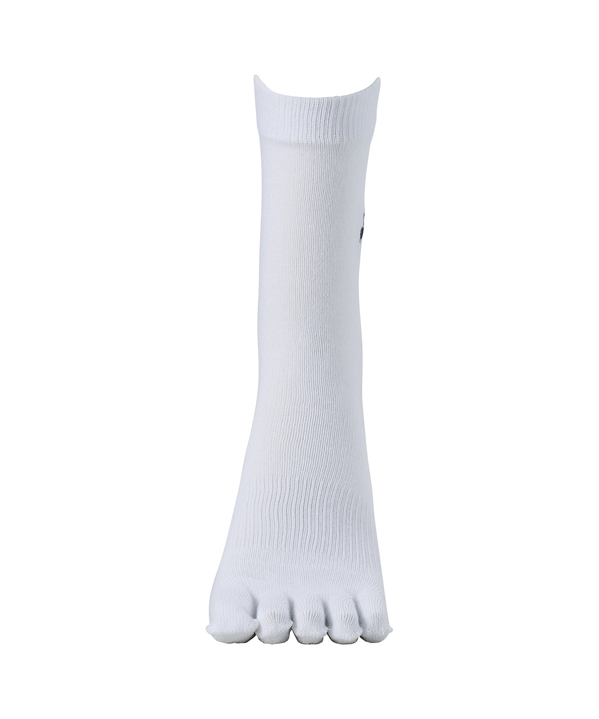 lecoqsportifgolf ルコックスポルティフ ゴルフ le coq sportif golf 5本指レギ ホワイト 25-27 lecoqsportifgolf ルコックスポルティフ ゴルフ le coq sportif golf 5本指レギ ホワイト 25-27