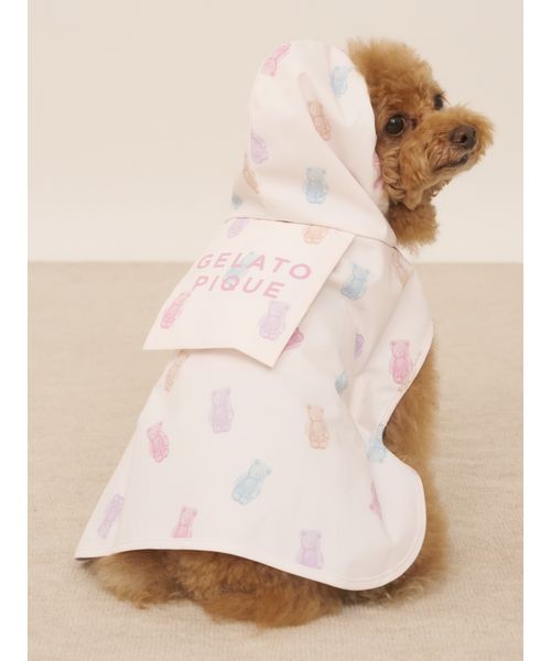 GELATOPIQUECAT & DOG 【CAT & DOG】【販路限定商品】レインポンチョ PNK S GELATOPIQUECAT & DOG 【CAT & DOG】【販路限定商品】レインポンチョ PNK S