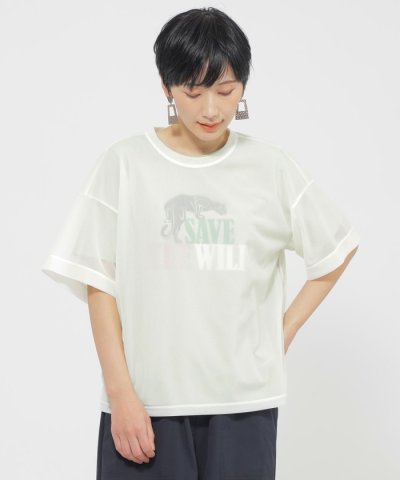 【カタログ掲載品】【ウォッシャブル】ソフトシアーカットソー