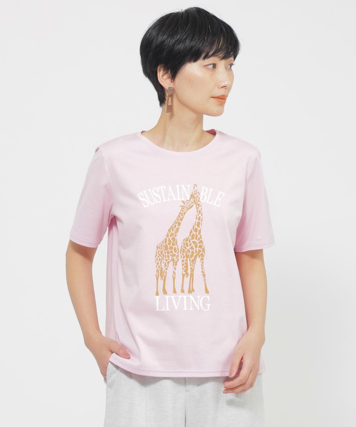 ピンク系｜カットソー・Tシャツ｜EVEX by KRIZIA(エヴェックス