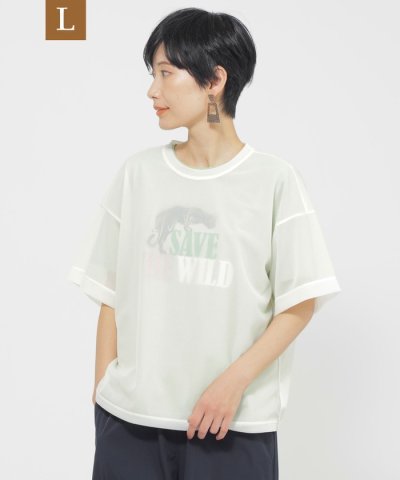 【L】【カタログ掲載品】【ウォッシャブル】ソフトシアーカットソー