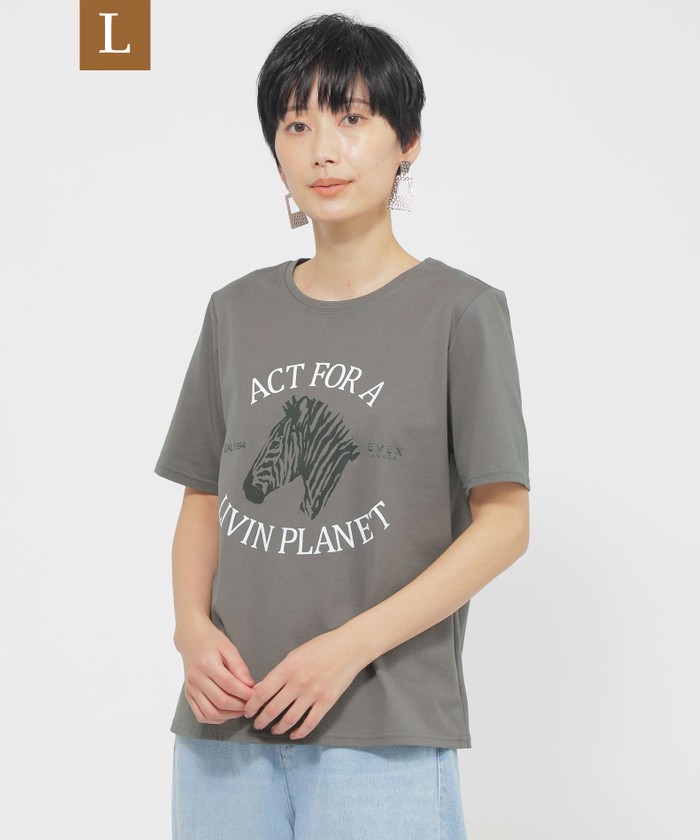 グレー系｜カットソー・Tシャツ｜EVEX by KRIZIA(Lサイズ