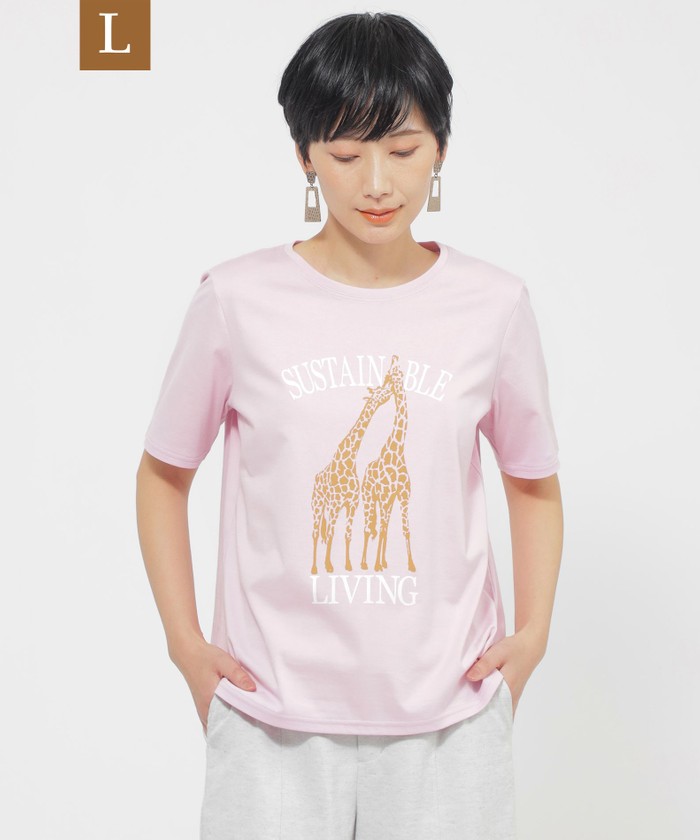 ピンク系｜カットソー・Tシャツ｜EVEX by KRIZIA(Lサイズ