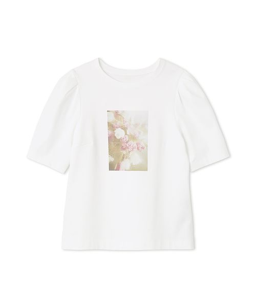 その他｜カットソー・Tシャツ｜CELFORD(セルフォード)｜阪急