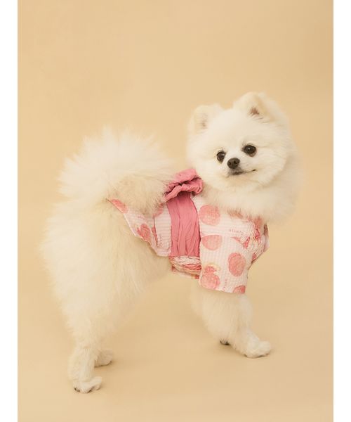 GELATOPIQUECAT & DOG 【CAT & DOG】浴衣 PNK S GELATOPIQUECAT & DOG 【CAT & DOG】浴衣 PNK S