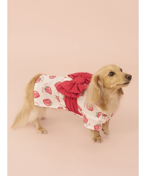 GELATOPIQUECAT & DOG 【CAT & DOG】ダックスフンドサイズ浴衣 OWHT DL GELATOPIQUECAT & DOG 【CAT & DOG】ダックスフンドサイズ浴衣 OWHT DL