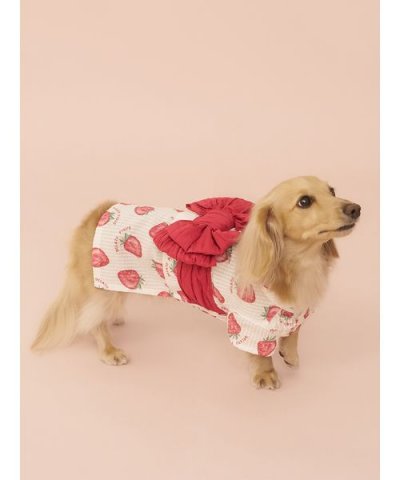 【CAT&DOG】ダックスフンドサイズ浴衣