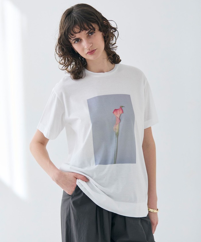BEIGE 【洗える・クロワッサン 掲載】PENTAS / オリジナルフォトプリントTシャツ CALLALILY 4 BEIGE 【洗える・クロワッサン 掲載】PENTAS / オリジナルフォトプリントTシャツ CALLALILY 4