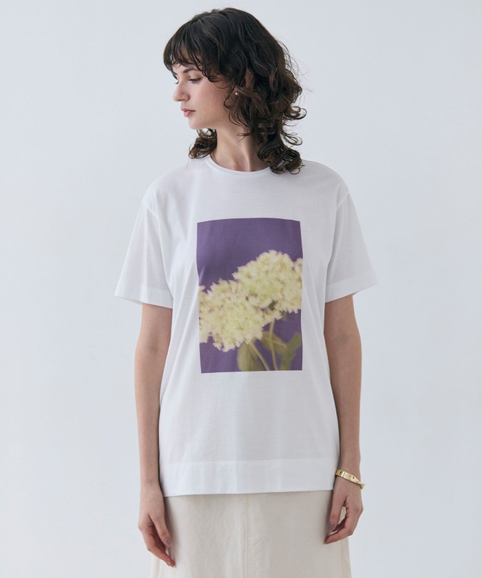 BEIGE 【洗える・クロワッサン 掲載】PENTAS / オリジナルフォトプリントTシャツ ANNABELLE 4 BEIGE 【洗える・クロワッサン 掲載】PENTAS / オリジナルフォトプリントTシャツ ANNABELLE 4