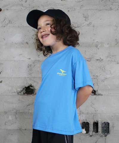 グルーヴィーカラーズ GROOVY COLORS DINOSAUR SOUNDS