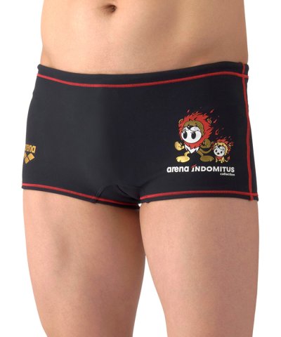 アリーナ arena 【直営店限定｜arena INDOMITUS｜タフスーツ】