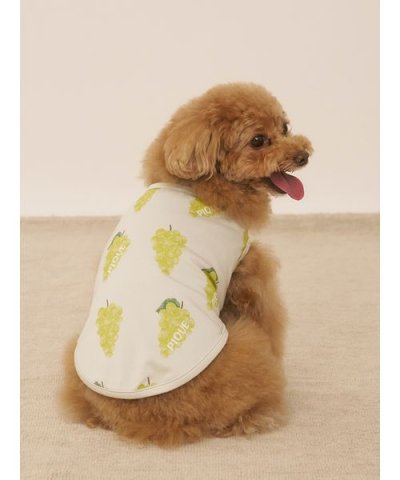 【CAT&DOG】【接触冷感】フルーツ柄プルオーバー