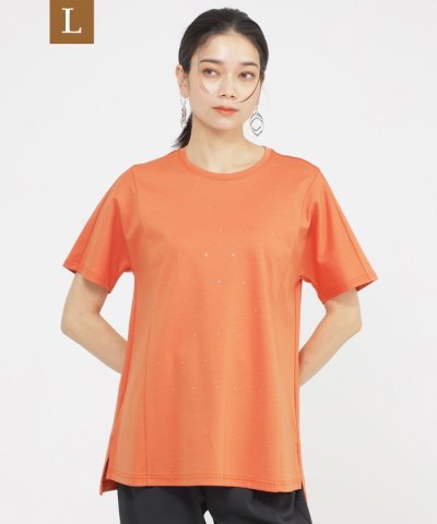 【L】【カタログ掲載品】【接触冷感】【ウォッシャブル】超冷感コットンスムースホッ