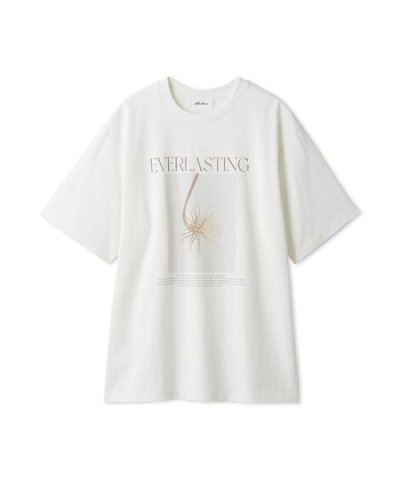 フラワーモチーフフォトプリントTシャツ