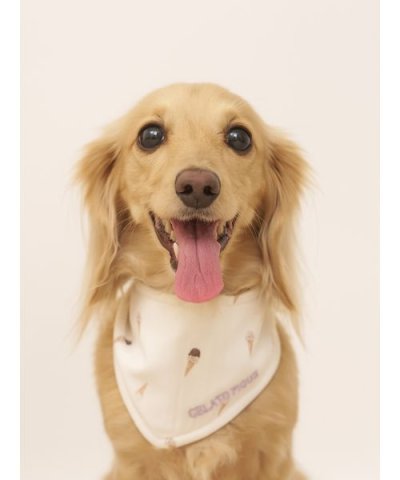 【CAT&DOG】アイス柄保冷剤入れバンダナ