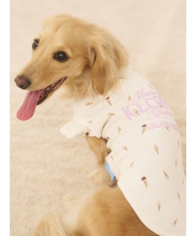 【CAT&DOG】ダックスフンドサイズアイス柄フリルワッフルプルオーバー