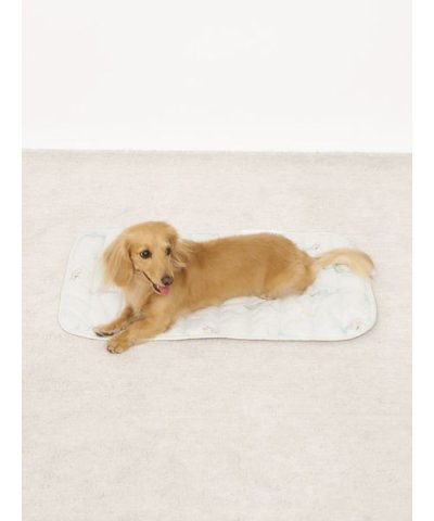 【CAT&DOG】【接触冷感】SHARK柄COOLINGマット
