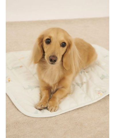 【CAT&DOG】【接触冷感】SHARK柄COOLINGマット