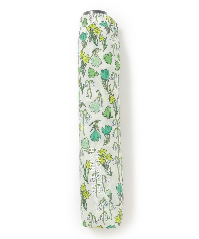 グリーン系｜雨傘｜MACKINTOSH PHILOSOPHY(マッキントッシュ