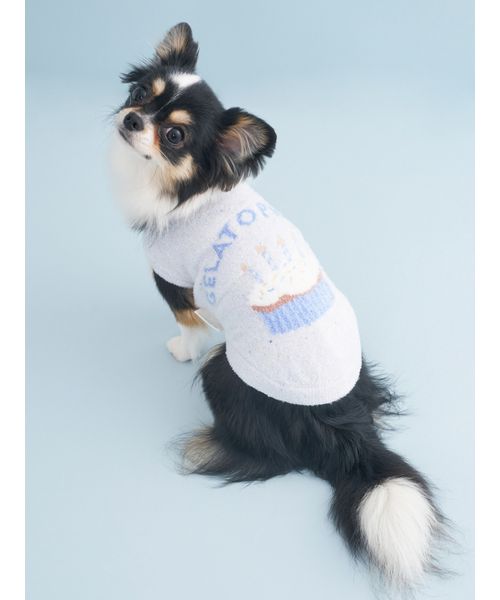 GELATOPIQUECAT & DOG 【CAT & DOG】【Birthday】スムーズィーカップケーキジャガードプルオー BLU S GELATOPIQUECAT & DOG 【CAT & DOG】【Birthday】スムーズィーカップケーキジャガードプルオー BLU S