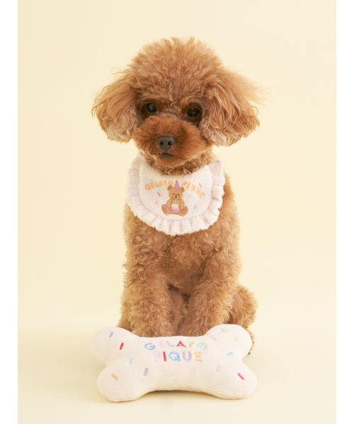 GELATOPIQUECAT & DOG 【CAT & DOG】【Birthday】ボーントイ CRM F GELATOPIQUECAT & DOG 【CAT & DOG】【Birthday】ボーントイ CRM F
