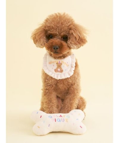 【CAT&DOG】【Birthday】ボーントイ